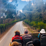onde encontrar empresa de city tour praia Vila Kosmos